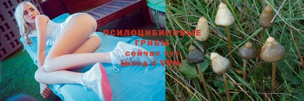 каннабис Магадан