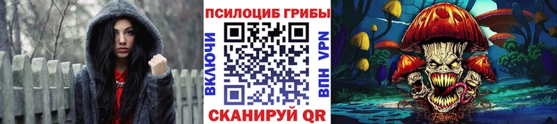 где купить наркоту  Покровск  Псилоцибиновые грибы мухоморы 